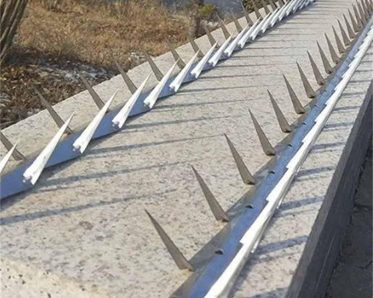 Pole Climbing Spurs product image