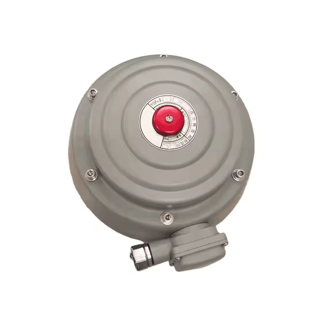 Safety Relief Valve for Oil-Immersed Transformer Low Pressure High Temperature