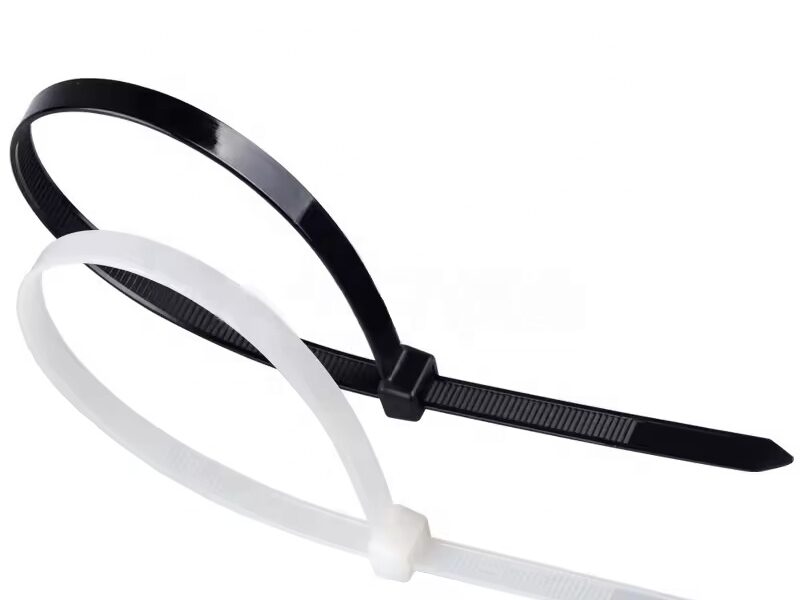 Mount Hole cable tie 5x300 product image